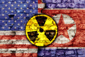 Sign of radiation and korea flag
