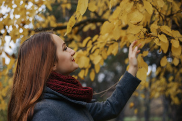 Young romantic female person wearing warm grey overcoat and red scarf touched yellow leavs on the autumn tree. The pretty girl with red foxy hair walking in autumn park. Autumn. Outdoor.