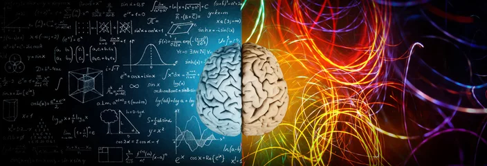 Foto op Canvas The concept of the human brain. The right creative hemisphere versus the left logical hemisphere. Education, science and medical abstract background. © Tryfonov