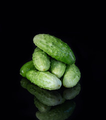 Fresh green cucumber