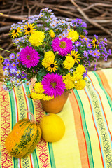 Pumpkin harvest. Organic vegetables. Bright Autumn Colors