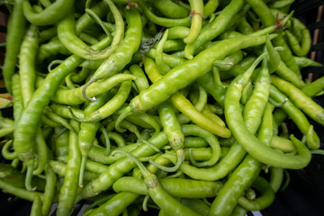 Pimientos verdes, guindillas o piparrak