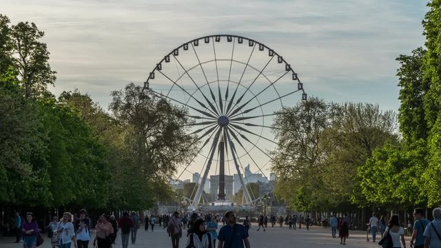 Jardins des Tuileries / Grande roue long distance