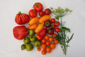 Variety of tomatoes.  Tomatoes of different sizes and different colors.