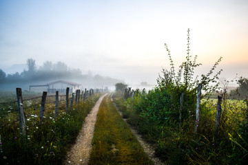 Obraz premium The way in the mist
