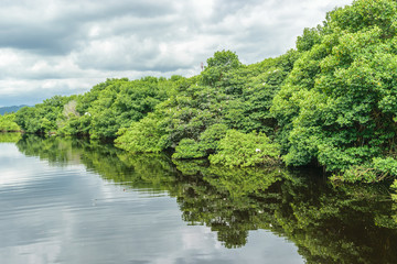 Tranquil reflective view of Wetlands in Negril Jamaica. Natural landscape. Cloudy day.