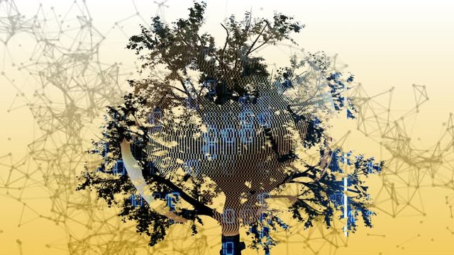 Binary Tree Images Browse 4 165 Stock Photos Vectors And Video Binary Tree Images Browse 4 165 Stock Photos Vectors And Video