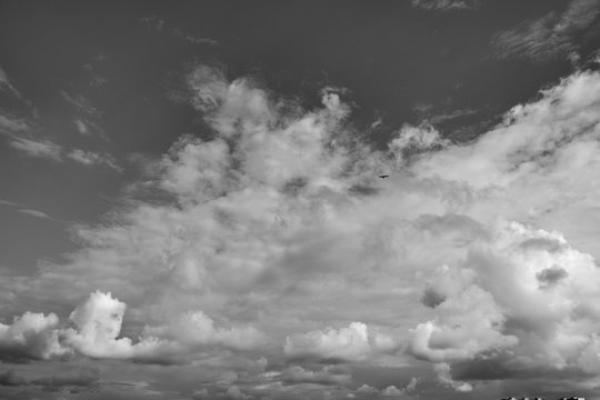 clouds black and white image