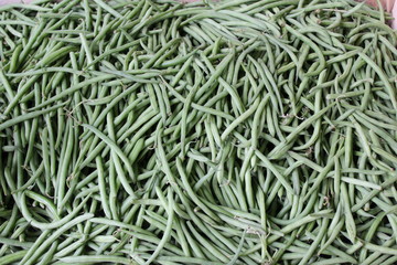 haricots vert