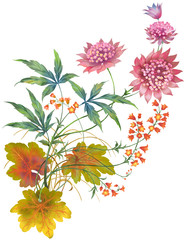 Decorative  composition of  flowers and herbs  isolated on white background