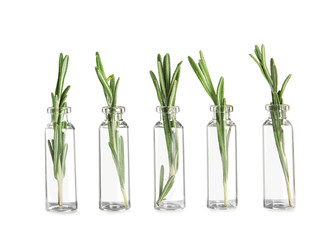 Row of glass bottles with rosemary on white background