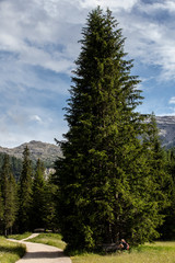 Fototapeta na wymiar Panorama Dolomiti val Badia San Cassiano Veneto monti montagna