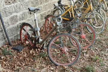 Fototapeta na wymiar epave de vélo