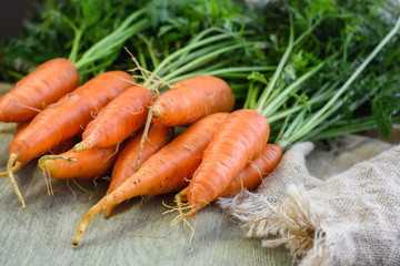Fresh carrot.