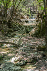 Naklejka premium Valley Of The Butterflies. A beautiful nature reserve on the island of Rhodes, Greece, nature background