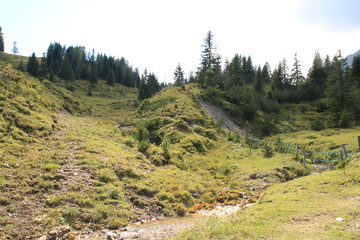 Fototapeta na wymiar Wanderweg in Österreich
