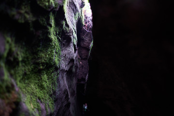 green moss in a stone crevice half in darkness