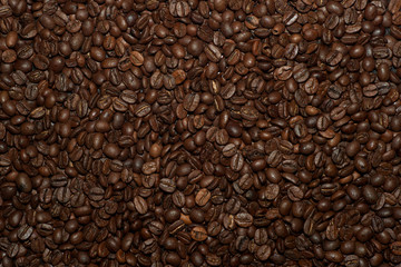 Roasted Coffee Beans Filling the whole Frame