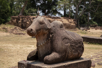 Ancient temple stone monument in Angkor Wat complex, Cambodia. Nandi cow or bull statue. Hindu temple sculpture.