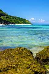 Fototapeta premium summer at beach with coral and blue sky