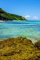 Fototapeta premium summer at beach with coral and blue sky