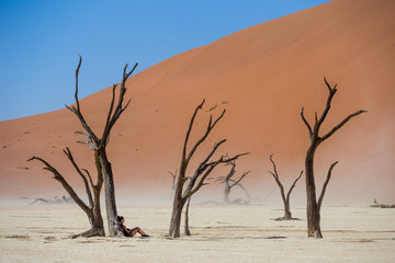 Fototapeta na wymiar Dead Vlei Namibie désert sel dunes de sable Arbres morts