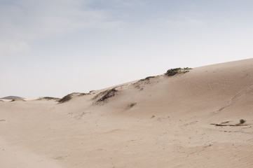 Sand dune hump with blue skies