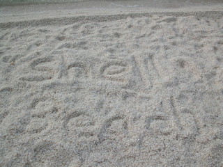Shell beach