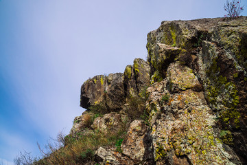 Beautiful rocky gray textured background with green trees and pink flowers. Surface mountain cliff close-up.