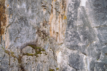 Beautiful rocky gray textured background with mosses and lichens. Surface mountain cliff close-up.