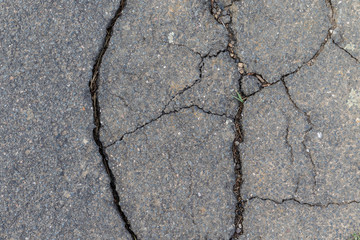 Surface of a grey cracked street