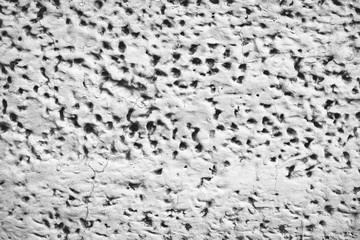Detailed imperfect white texture of aerated foam block with holes close-up. Side of building is painted whitish. Background of construction from foamed material in macro. Decorative facing of house.
