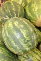 Watermelon  at farm market