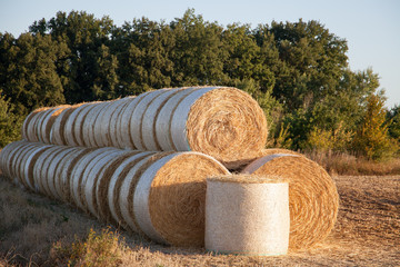 Obraz premium piled straw bales piled up