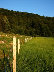 Fototapeta na wymiar Fence on a green meadow, Switzerland