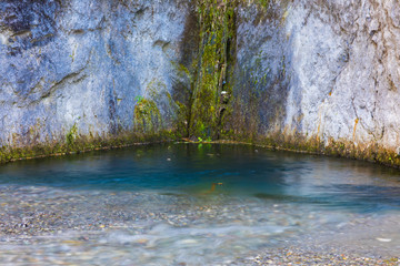 The Sunken Forest Of Mountain Lake, a unique natural landscape