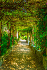 Fototapety  Widok na ogród wewnątrz fortu Saint Andre w Villenueve les Avignon, Francja