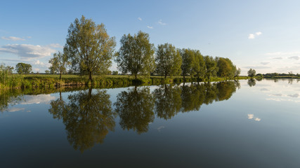 Bäume an einem Gewässer im Havelland in Brandenburg