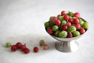gooseberry on a white background