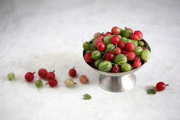 gooseberry on a white background