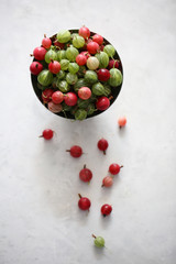 gooseberry on a white background