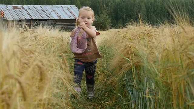 Happy little girl running on wheat fild. Child walking on golden field. Slow motion