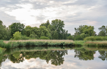 Fototapeta na wymiar Seggeluchbecken lake landscape in Berlin