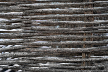 wall, collected from tree branches, like a natural background