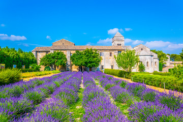Lavender field in the monastery of Saint Paul de Mausole in France