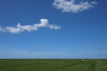 Deichhinterland in Ostfriesland und blauer Himmel - Stockfoto