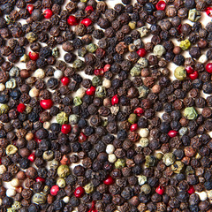 Close-up of colorful natural background from fragrant spices various kinds of pepper.