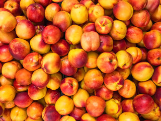 Fresh organic nectarines 