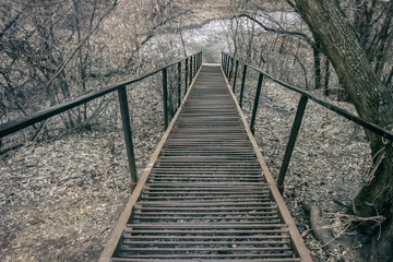 Long metal ladder, steps in the park with fallen brown leaves away. Late autumn. Concept of autumn, nostalgia, ways, paths