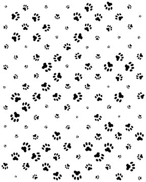 Seamless pattern of print of dogs paws on a white background